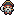 pirate